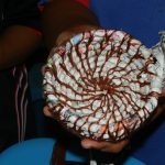Sam Rit Residency and Cultural Exchange 2016