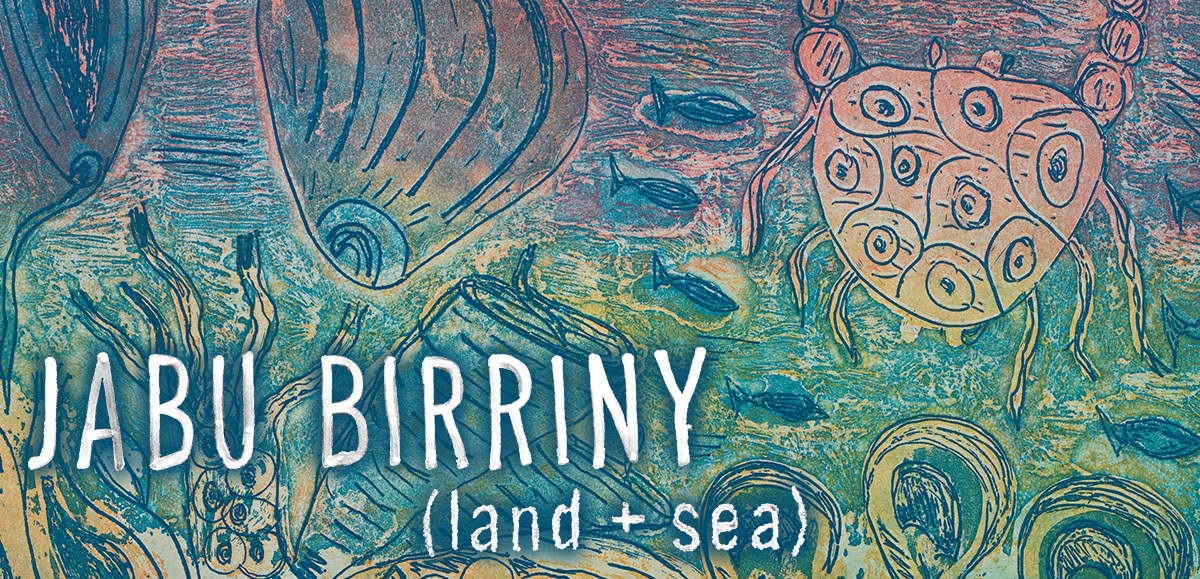 Jabu Birriny (land + sea) hero image